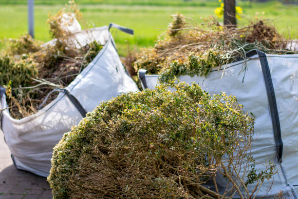 Best Appliance Removal  in Woodward, IA